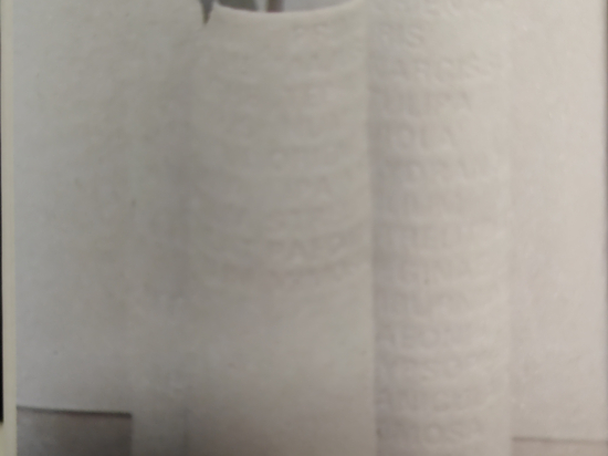ROOM POETRY VASE SMALL