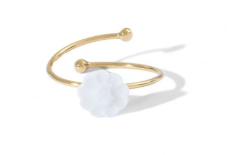 BAGUE - JARDIN