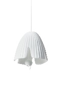 THE BLOOMING LIFE HANGER POPPY