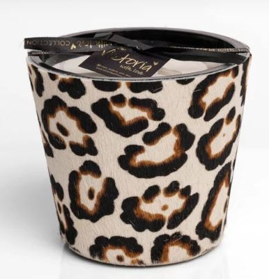 BOUGIE HAIRY JAGUAR