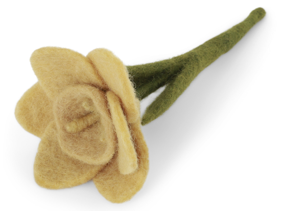 DAFFODIL FLOWER 