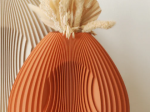 TERRACOTTA