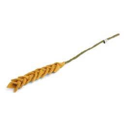 CORN FLOWER YELLOW - BLE JAUNE 